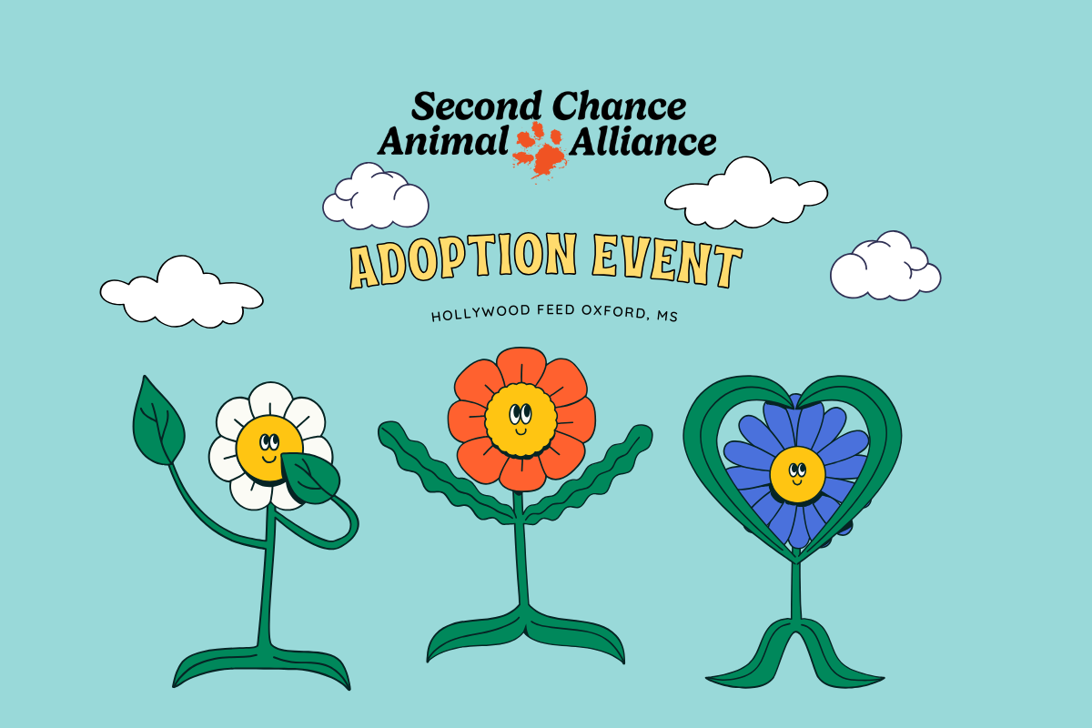 Adoption Event banner